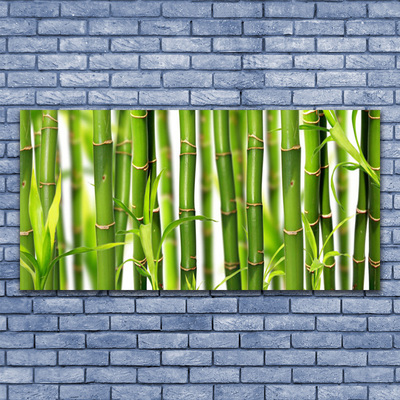 Plexiglas® Wall Art Bamboo stalks floral green