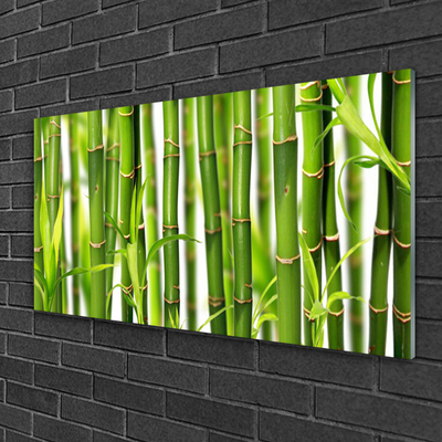 Plexiglas® Wall Art Bamboo stalks floral green