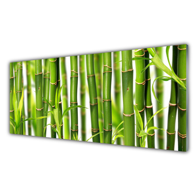 Plexiglas® Wall Art Bamboo stalks floral green