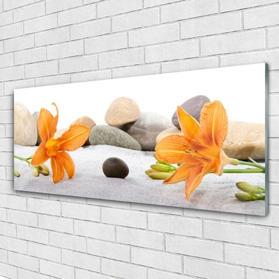 Plexiglas® Wall Art Flower stones floral grey yellow