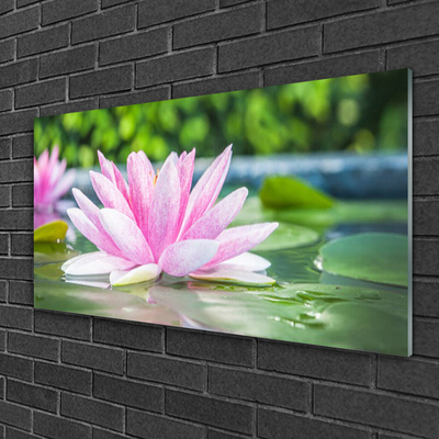 Plexiglas® Wall Art Flower water art pink green