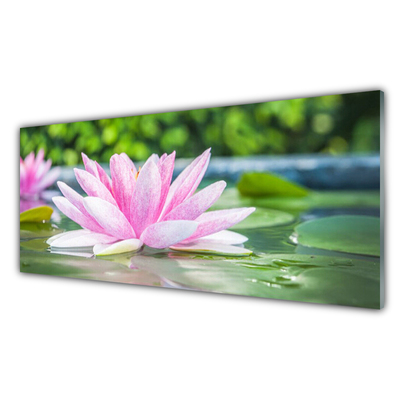 Plexiglas® Wall Art Flower water art pink green