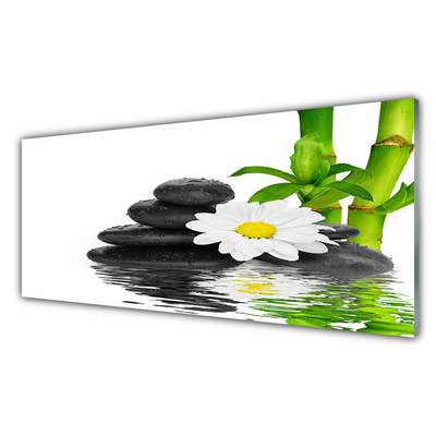 Plexiglas® Wall Art Bamboo tube flower stones floral green white black