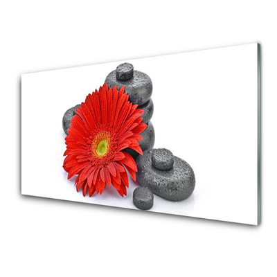 Plexiglas® Wall Art Flower stones floral red grey