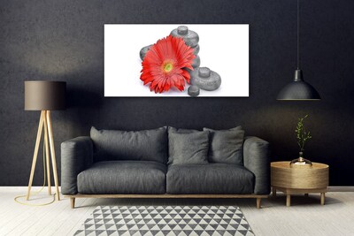Plexiglas® Wall Art Flower stones floral red grey