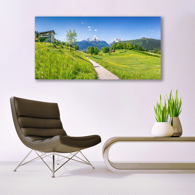 Plexiglas® Wall Art Meadow footpath nature green brown