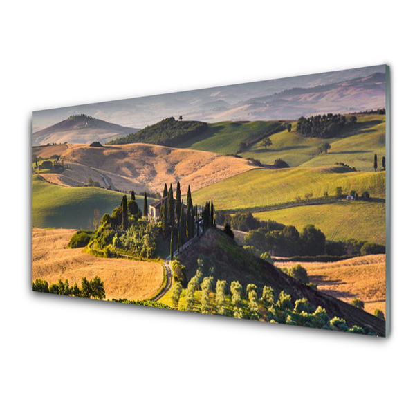 Plexiglas® Wall Art Acker mountains landscape green brown