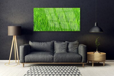 Plexiglas® Wall Art Grass nature green