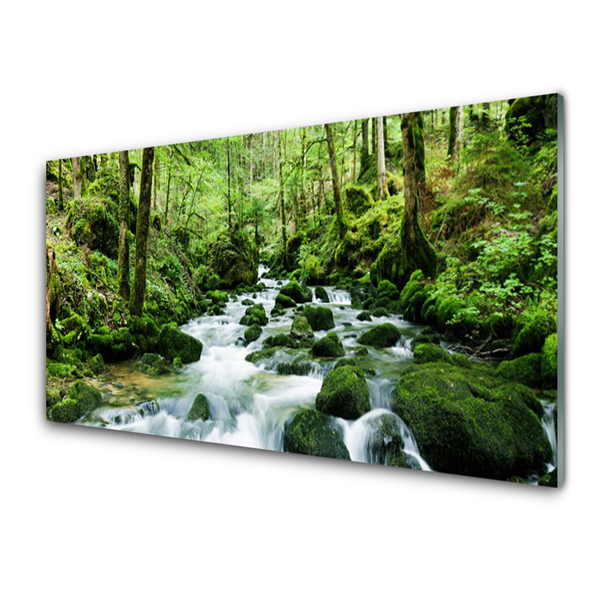 Plexiglas® Wall Art Forest lake stones nature brown green white
