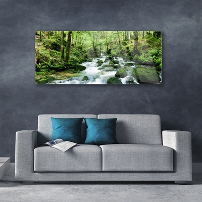 Plexiglas® Wall Art Forest lake stones nature brown green white