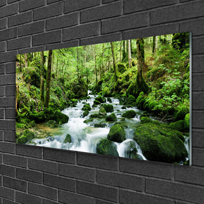 Plexiglas® Wall Art Forest lake stones nature brown green white