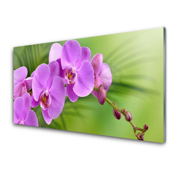 Plexiglas® Wall Art Flowers houses pink