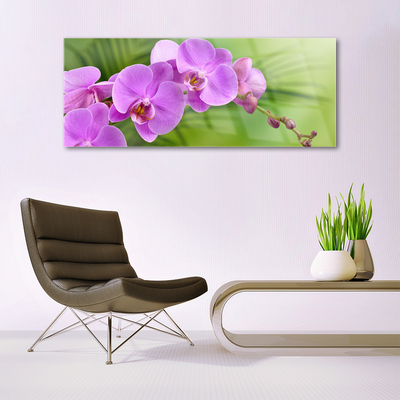 Plexiglas® Wall Art Flowers houses pink