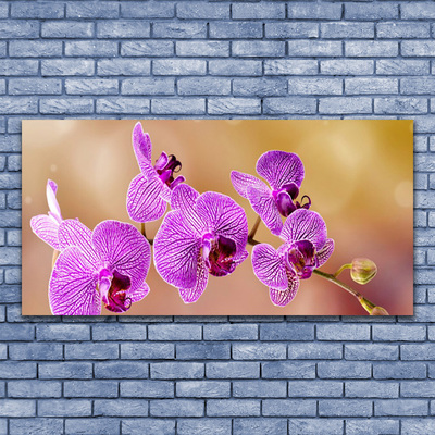 Plexiglas® Wall Art Flowers floral pink