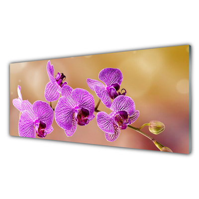 Plexiglas® Wall Art Flowers floral pink