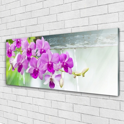 Plexiglas® Wall Art Flowers floral pink