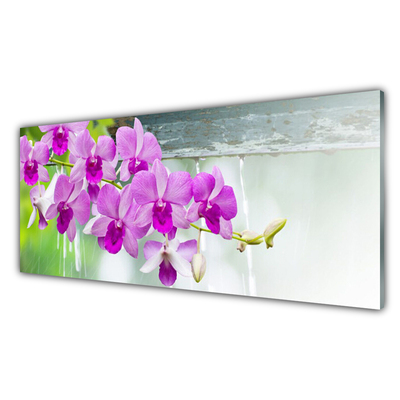 Plexiglas® Wall Art Flowers floral pink