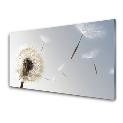 Plexiglas® Wall Art Dandelion floral white grey
