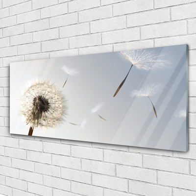 Plexiglas® Wall Art Dandelion floral white grey