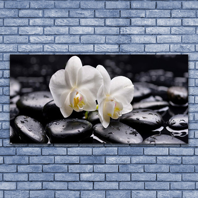 Plexiglas® Wall Art Flower stones art white black