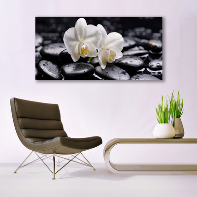 Plexiglas® Wall Art Flower stones art white black