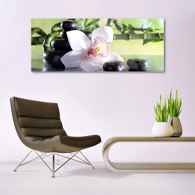 Plexiglas® Wall Art Bamboo cane flower stones floral green white black