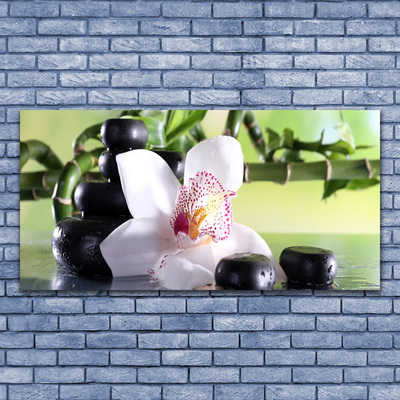 Plexiglas® Wall Art Bamboo cane flower stones floral green white black