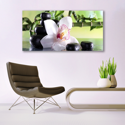 Plexiglas® Wall Art Bamboo cane flower stones floral green white black