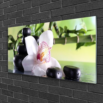 Plexiglas® Wall Art Bamboo cane flower stones floral green white black