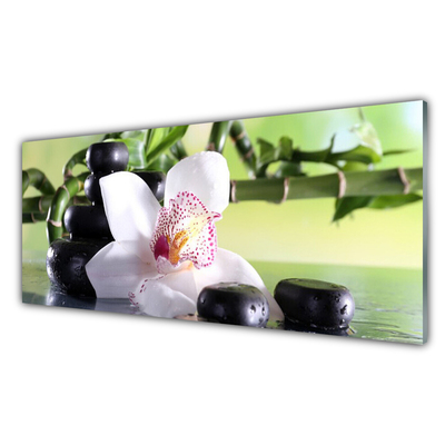 Plexiglas® Wall Art Bamboo cane flower stones floral green white black