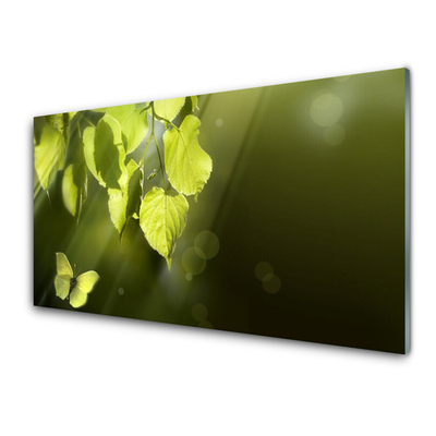 Plexiglas® Wall Art Butterfly leaves nature green