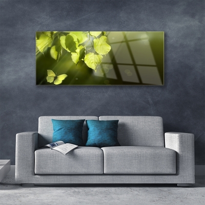 Plexiglas® Wall Art Butterfly leaves nature green