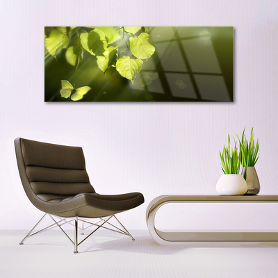 Plexiglas® Wall Art Butterfly leaves nature green