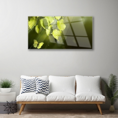 Plexiglas® Wall Art Butterfly leaves nature green