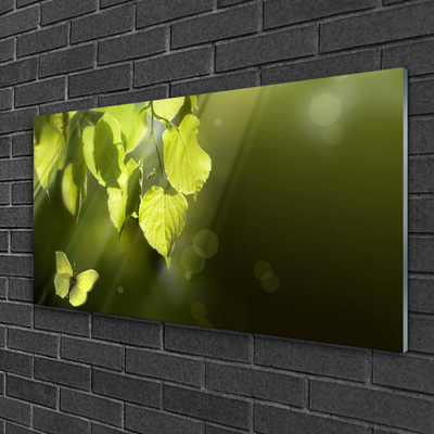 Plexiglas® Wall Art Butterfly leaves nature green