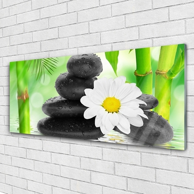 Plexiglas® Wall Art Bamboo tube flower stones art green white black