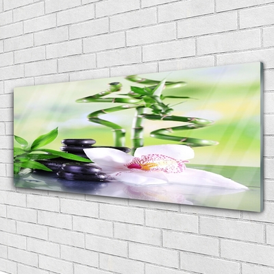 Plexiglas® Wall Art Bamboo stalks flower stones floral green white black