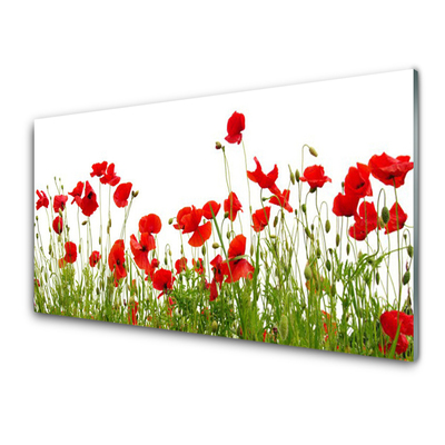 Plexiglas® Wall Art Meadow poppies nature green red