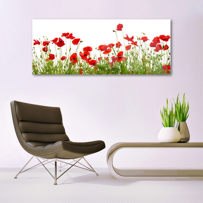 Plexiglas® Wall Art Meadow poppies nature green red