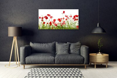 Plexiglas® Wall Art Meadow poppies nature green red