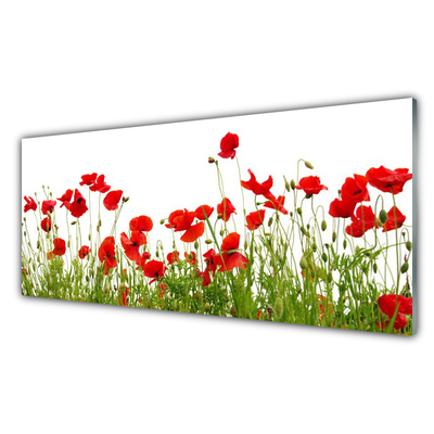 Plexiglas® Wall Art Meadow poppies nature green red