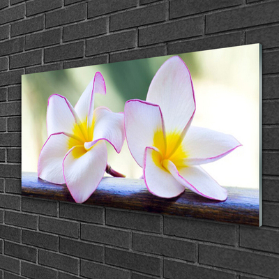 Plexiglas® Wall Art Flowers floral green pink