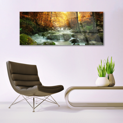 Plexiglas® Wall Art Waterfall forest stones nature brown yellow grey white