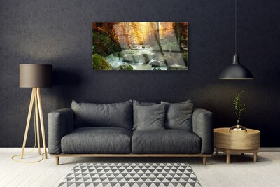 Plexiglas® Wall Art Waterfall forest stones nature brown yellow grey white