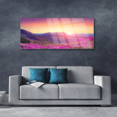 Plexiglas® Wall Art Sun mountain meadow nature yellow blue green pink