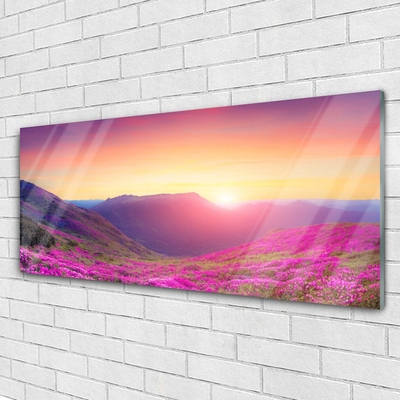 Plexiglas® Wall Art Sun mountain meadow nature yellow blue green pink