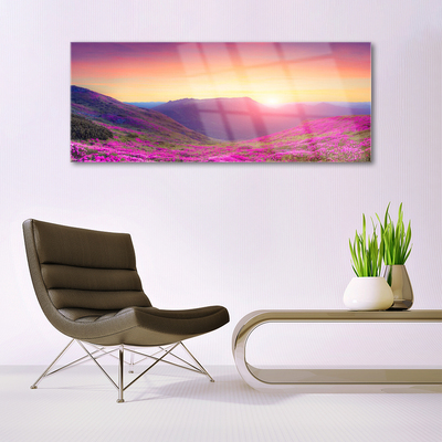 Plexiglas® Wall Art Sun mountain meadow nature yellow blue green pink