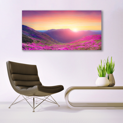 Plexiglas® Wall Art Sun mountain meadow nature yellow blue green pink