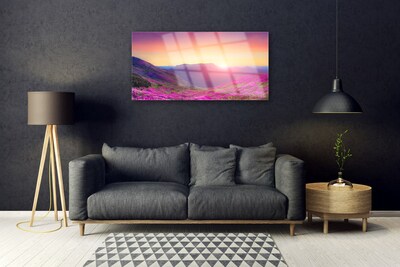 Plexiglas® Wall Art Sun mountain meadow nature yellow blue green pink