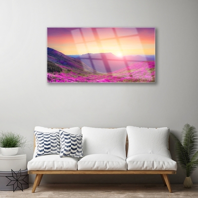 Plexiglas® Wall Art Sun mountain meadow nature yellow blue green pink